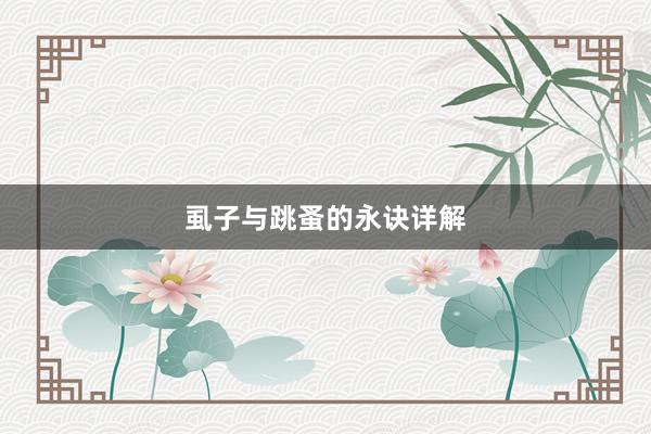 虱子与跳蚤的永诀详解